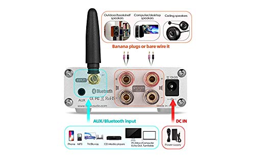 Rear view of the Douk Audio G5 amplifier showing AUX/Bluetooth input, speaker outputs, and DC power input.