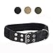 Collier Tactique pour Chien Collier avec Anneau en D, Facile à contrôler Nylon résistant Facile à Nettoyer,Double Bouton Noir Froid, 3.8*42-54cm