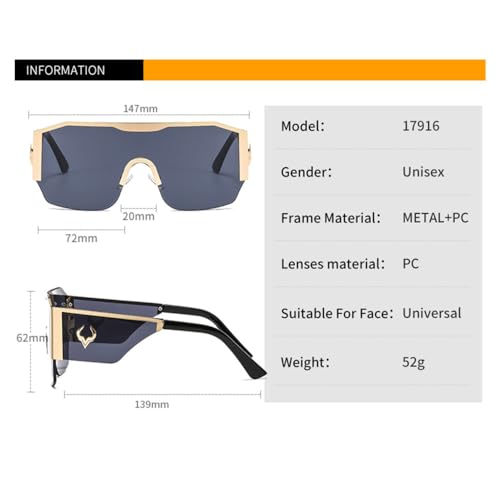 Sunglasses Men Women Gradients Lens Sunglasses2
