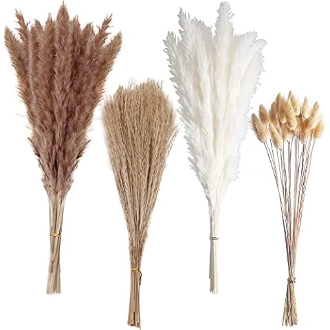 100 PCS Small Boho Pampas Grass, 17" Naturally Dried Pompas, Pampas Grass Decor for Wedding , Boho Party Decorations, Table Decor（Brown and White） Cover