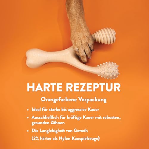 BetterBone - Hundespielzeug zum Kauen - Small Hard Beef - Kauknochen Hund Nylon- & GMO-frei auf Zellulosebasis - Kauspielzeug extra hart mit Rindfleischgeschmack - Kauholz Splitterfrei & langlebig