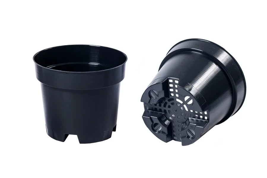 Muddy Hands Black Plastic Plant Pots - Ideal for Growing Blueberries - Outdoor Garden Round Nursery Seed Planters (2, 1.5 Litre)