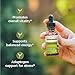 Banyan Botanicals Organic Ashwagandha Liquid Extract – Fast-Acting Herbal Ashwagandha Drops ­­– for Balanced Energy and Calm* – 1 fl oz – Non GMO Sustainably Sourced Vegan