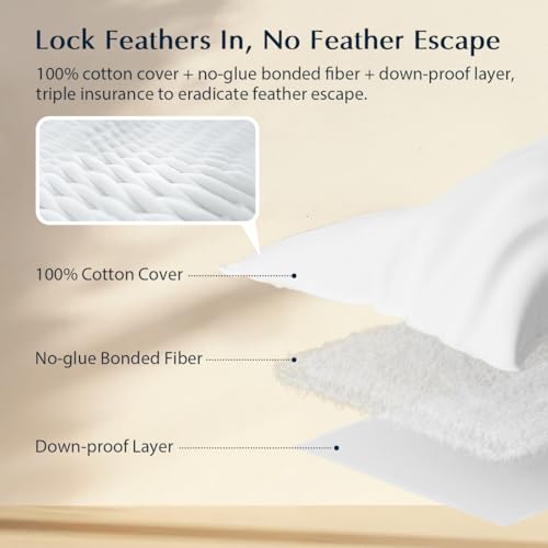 Image of Pacific Coast Premium Goose Feather & Down Bed Pillows Standard Size 1-Pack, Hotel Quality Collection, Medium-Firm Pillow for Side & Back Sleepers