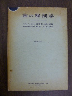 歯の解剖学 歯の解剖学