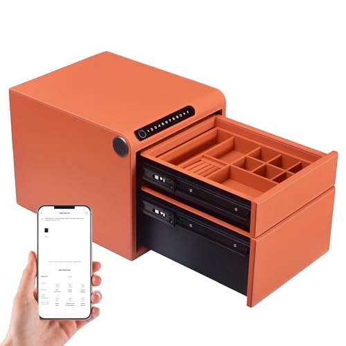 XPEDITION Biometric Home Jewelry Safe with Keypad