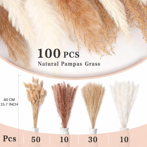 Image of Qlect Home Decor 100 Pcs Set 17inch Natural Dried Pampas Grass,Real Rabbit Bunny Tail,Reed Pampas,Boho Bouquet,Artificial Flowers Decor for Table Vase Home Decoration. (100 Pcs Dried Flower Set)