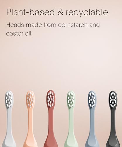 Image of SURI Recyclable Plant-Based, Electric Toothbrush Heads - Long Lasting Replacement Heads | Compatible Only Sonic Electric Toothbrush - Sea Mist, Pack of 3