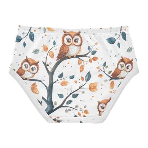 ZZKKO Cute Owl on The Branch Girls Underwear Toddler Panties for Girls Comfort Brief Size 2T-8Y2