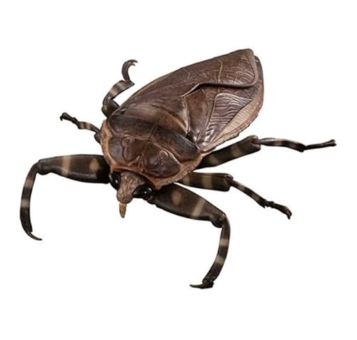 いきもの大図鑑アドバンス 水生昆虫 タガメ ダークカラー ガチャ カプセル版 V