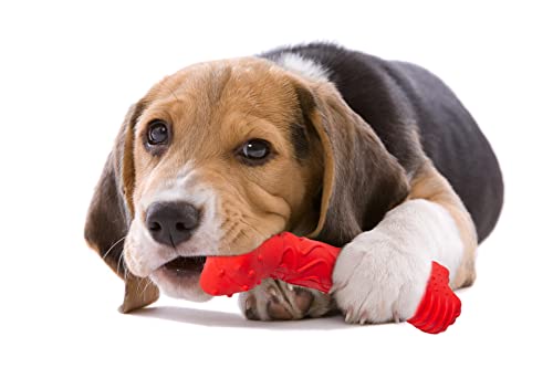 Acecy Hundespielzeug, Unzerstörbares Kauwurzel Für HundeSpielzeug, Interaktives kauknochen Hunde Spielzeug Für Große Mittelgroße Hunde und Welpen