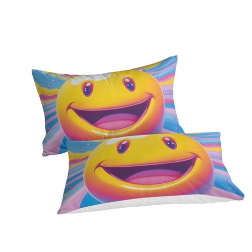 Parure de lit microfibre douce avec fermeture éclair invisible 220x240