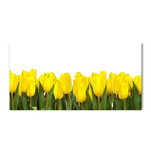 Fond de hotte en verre pour cuisine lumineuse décor plantes fleurs tulipes