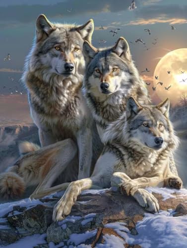 T yCgoCio[  DIY G ANG̋ ZbgƃuVt G lp S G hG  A[gNtg z[fR[V av[g 100x135cm 2-6882