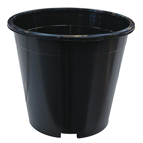 PLANT IT 01-010-073 7.5 Litre Round Plastic Pot - Black