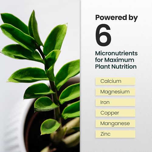Fertilizante Líquido para Planta ZZ 16 oz miniatura 4