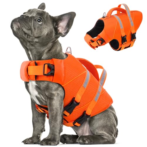 Queenmore Dog Life Jacket for Medium Dogs, Orange, 10-20 lbs