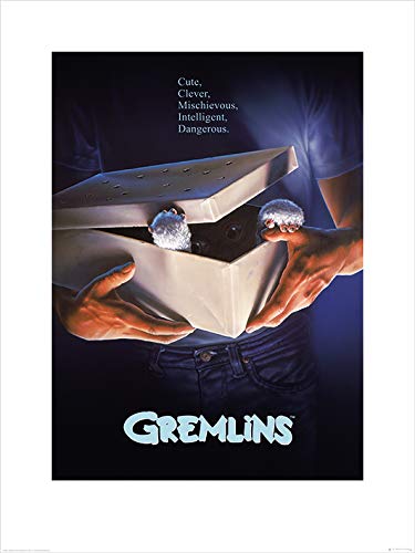 Gremlins Toile Imprimée Gizmo 60x80cm reproduction d'affiche artistique haute définition
