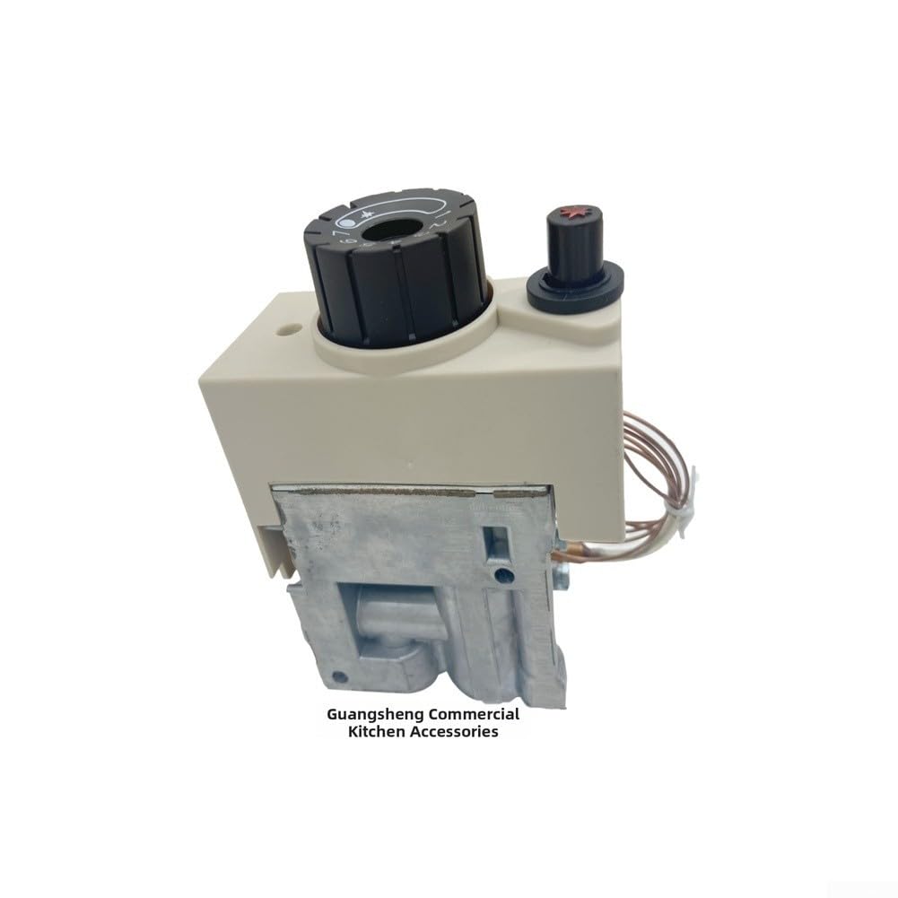 Progettazione infilata ABS del metallo dell'ABS del metallo di regolamento del grado commerciale 40-90C della valvola di controllo della temperatura del riscaldatore a gas 50mbar