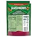 Emerald Glazed Walnuts 6.5 Ounce (3 Pack), by Litezout
