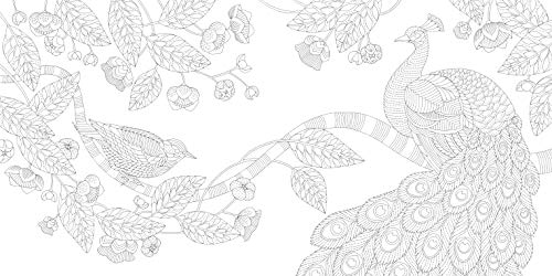 Millie Marotta's Woodland Wild: a colouring book adventure: 24