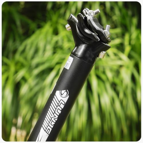 TRIWONDER Fahrrad Sattelstütze 25.4/27.2/28.6/30.4/30.8/31.6mm, Aluminium Sattelstange 350mm Länge für MTB BMX E-Bike Rennrad Trekkingrad (… – Ansicht 8