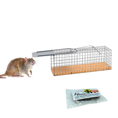 FINCA CASAREJO Trampa Ratas - Captura Ratas vivas sin matarlas - Reutilizable (DJTRG) - Incluye Hamelin, Atrayente Natural de Ratones y Ratas