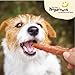 Pet 'n Shape Chik 'n Skewers - Chicken Wrapped Rawhide Chew Dog Treats - 1 Pound