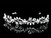SAMKY Elegant Wavy Crystal Beads Flower Bridal Headband Tiara T600