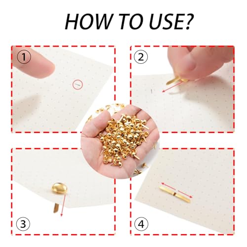 Pine & Linen 300 Pcs Brass Fasteners Scrapbooking Brads, Round Head Plated Fasteners for Paper Crafts, Decorative Scrapbooking DIY Supplies for Craft Art/School Projects(8 * 15mm/0.3 x 0.6Inch)