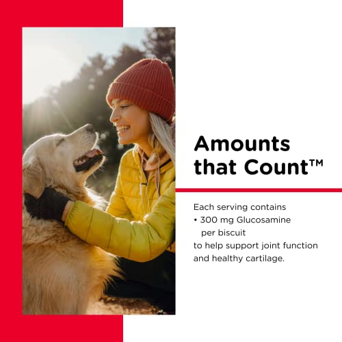 Nutri-Vet Hip & Joint Biscuits For Dogs - Tasty Dog Glucosamine Treat & Dog Joint Supplement - Large Sized Biscuit With 300Mg Glucosamine - 6 Lb #TOP3
