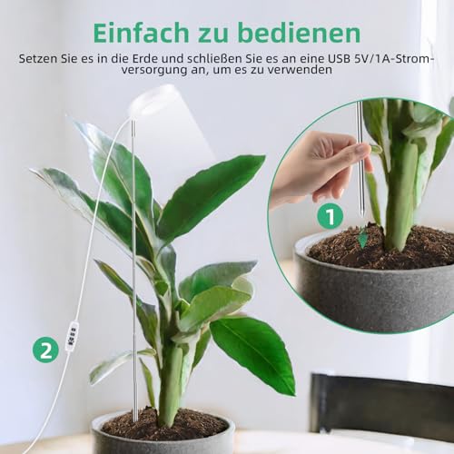 Paulmann 28734 LED Lampe Pflanzenlicht 4W Leuchtmittel Wachstumslicht Beleuchtung Licht 1300K E14 6 Paulmann 28734 LED Lampe Pflanzenlicht 4W Leuchtmittel Wachstumslicht Beleuchtung Licht 1300K E14 – Bild 6