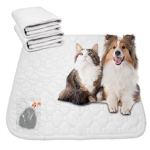 EMME 􂦂 ybgV[c ybg}bg }bg L  pbh gCV[g h ~ Rh~  z ~ ybgp p 2_Zbg zCgXL