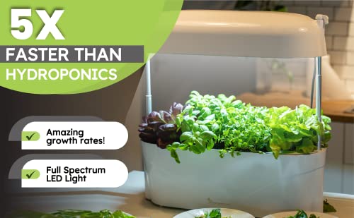 Vegepod - Kitchen Garden - Gourmet Herb And Vegetable Indoor Grow Kit, Self Watering, Led Grow Light (White) #TOP7