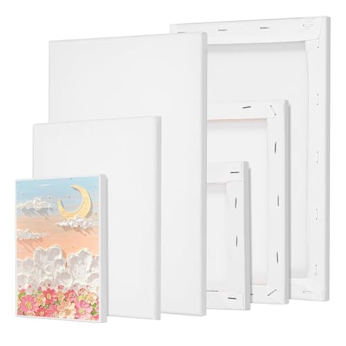 Hejo 6 Stück Leinwand zum Bemalen, Keilrahmen Malen Canvas Acryl, Leinwand Set 20x30,20x15,15x10 cm, Aquarell, Ölfarbe Multisizes für Künstler, Amateure, Anfänger und Kinder