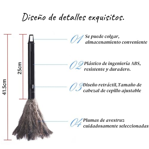 La Mejor Selección de Plumeros para comprar online. 23 Imagen adicional