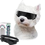 CEASELESLY Hundebrille für kleine Rassen, UV-Schutz, Winddicht, Augenschutz, Haustier-Sonnenbrille mit verstellbaren Riemen, zum Autofahren/Outdoor-Aktivitäten, Schwarz (schwarz)