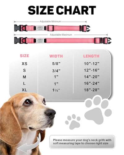 TagME Hundehalsband personalisiert, Reflektierendes gepolstertes Nylon Hundehalsband für kleine Hunde mit Namen und Telefonnummer