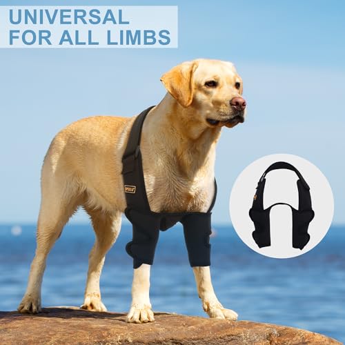 Dog Shoulder Brace for Canine Elbow and Shoulder Support, Elbow Hygroma, Dysplasia, Osteoarthritis, Elbow Calluses, Pressure Sores and Shoulder Dislocation, Dog Leg Brace Front (L) - Image 5