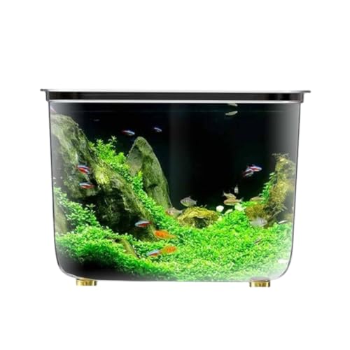 MAKETOMONEY   L ɂ񂱂̋ _J̐ ANAE _J  ^ e ϗtA | e  Ȃ  y  e vX`bN {E A͔|  CeA (ӂȂ,L)