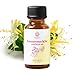 Honeysuckle Essential Oil by Essential Delights - Sweet Floral Aroma for Calming Aromatherapy and DIY Beauty Products 1 FL.Oz.