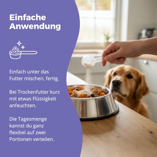 purapep Senior Power – 5-Fach Nährstoffkomplex mit Molkenprotein, Omega-3, Taurin & Vitaminen für Hunde & Katzen Senioren – Muskelaufbau & Fitness-Booster im Alter – Pulver | 280g