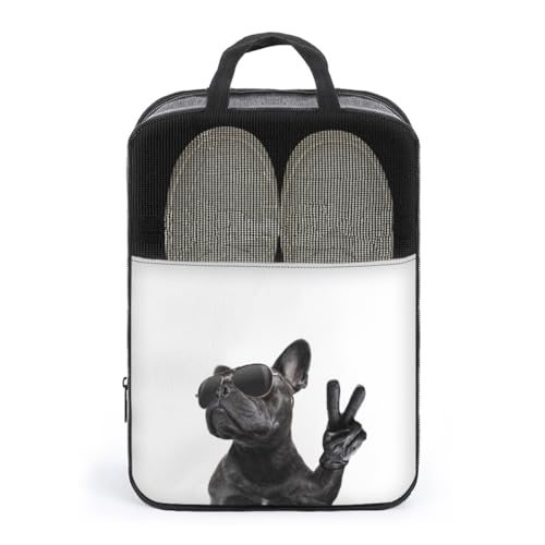 V[YP[X ʔ t`EuhbO  V[YobO V[Y|[` V[Y gx|[` C  V[Y o s y ^тɕ֗ [obO ւ jp AEghA o s v[g