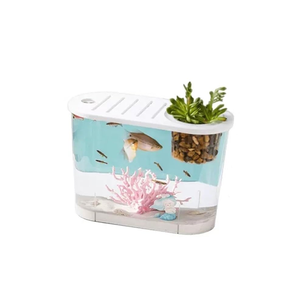 Acquario Acquario piccolo micro paesaggio trasparente grande casa ecologica con coperchio da tavolo ovale può essere piantato piante acquatiche(M)