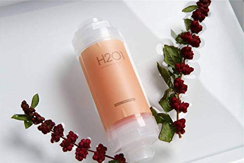 Shower Head Filter Water Filter Vitamin C Shower Filte Clean Water Beauty Bathroom Shower Gel Lemon Favor Pink Black Cherry Musk
