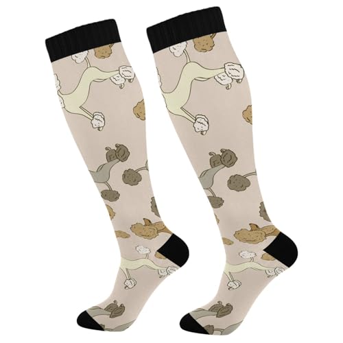 Dussdil Brown Beige Gray Poodle Dogs Compression Socks for Women Men Christmas Circulation Long Knee Socks for Winter Warm Stockings Socks