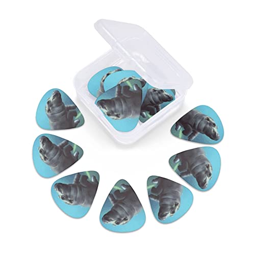 Médiators de guitare 12-Pack Baby Hippos Guitar Picks pour guitare électrique Guitare acoustique Diverses guitares - Les Beatles, Paul McCartney, John Lennon, RIngo Starr, George Harrison Médiators de guitare 12-Pack Baby Hippos Guitar Picks pour guitare électrique Guitare acoustique Diverses guitares – Image 6
