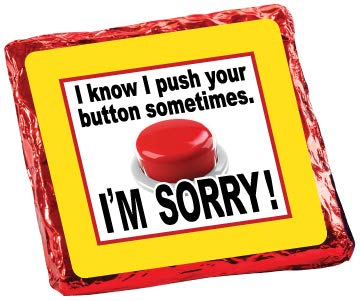 Miniatura 6 de I'M SORRY - GRAHAMS CUBIERTOS DE CHOCOLATE "COOKIE TALK" - 6PC