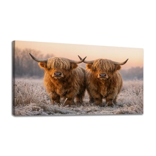 24"x 48" Canvas Wall Art Highland Cattle Pair Frosty Winter