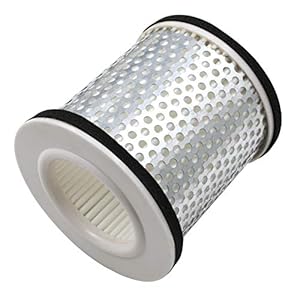 AHL 4BR-14451-00-00 1AE-14451-00-00 Filtre à air de moto pour YAMAHA XJ600 Diversion SN 1992-2003/ XJ900 S Diversion 1994-2003